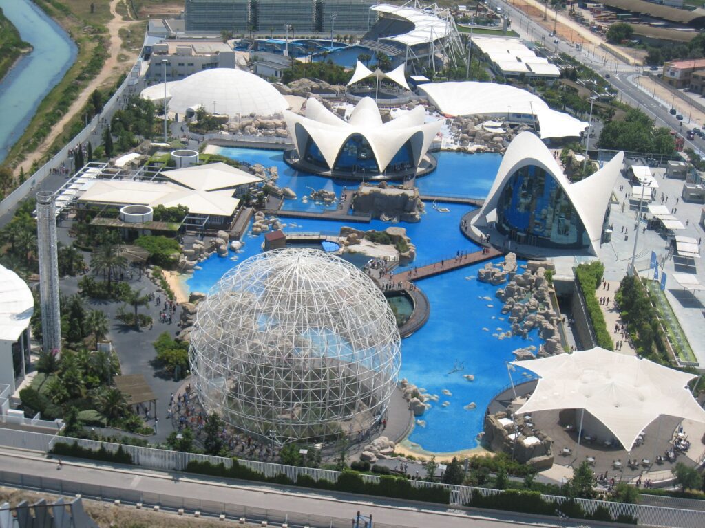 Oceanogràfic photo 2