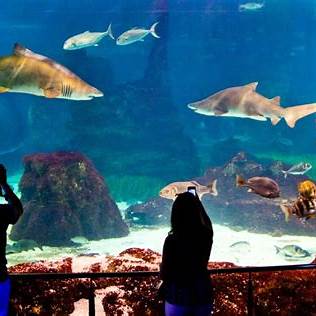 L’Aquàrium de Barcelona