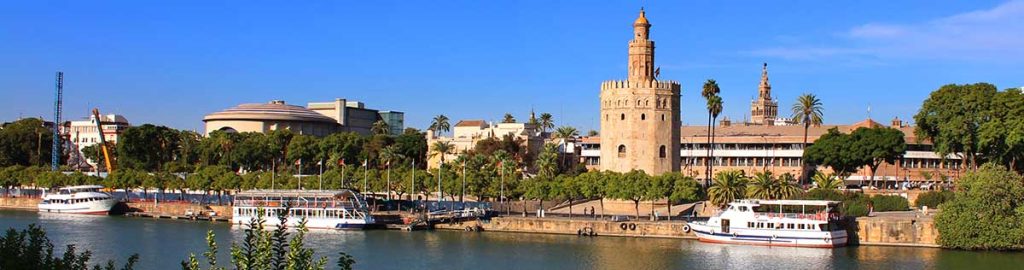 Torre Del Oro — photo 4